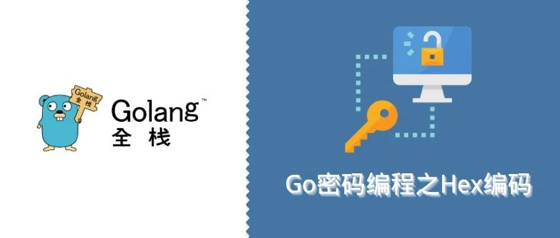 3分钟带你了解 Go 密码学编程之 Hex 编码!