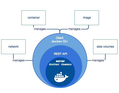 Docker容器入门操作介绍