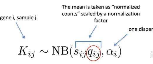 RNA-seq 详细教程：假设检验和多重检验（8）