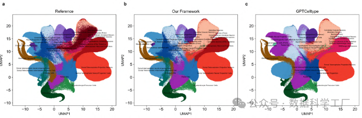 还在为细胞类型注释困扰？快试试 mLLMCelltype ！-腾讯云开发者社区-腾讯云
