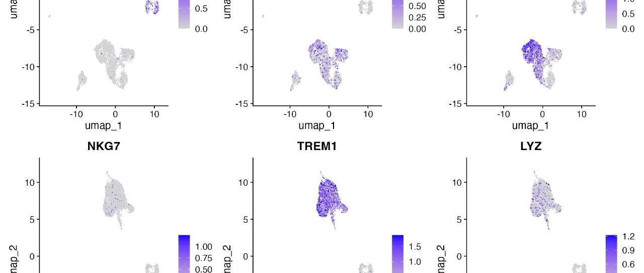 单细胞分析(Signac)： PBMC scATAC-seq 聚类