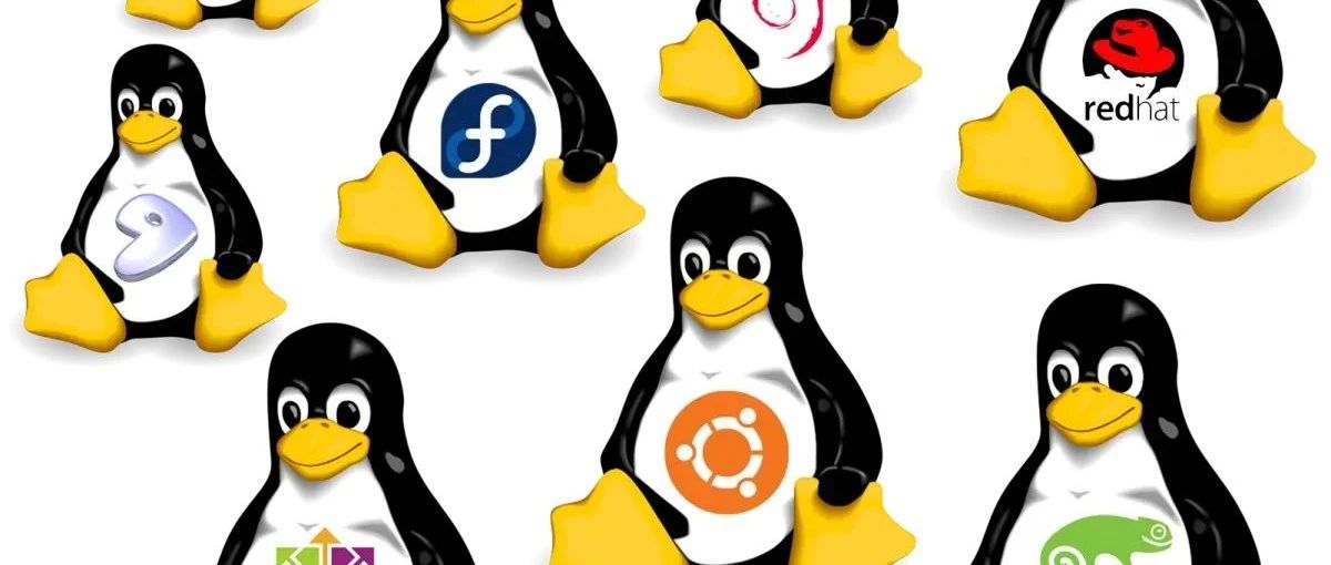 Linux技巧｜Awk 比较运算符