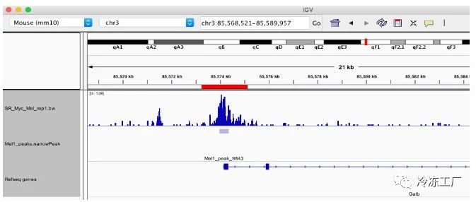 ChIP-seq 分析：基因集富集（11）