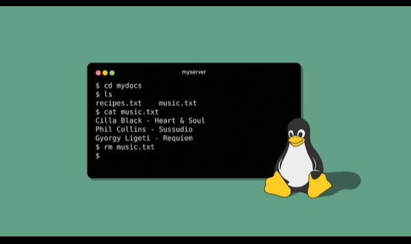 Linux 终端为何经久不衰？
