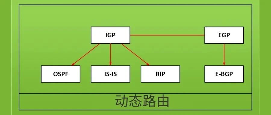 拒绝八股文！这篇图解动态路由分分钟爱了
