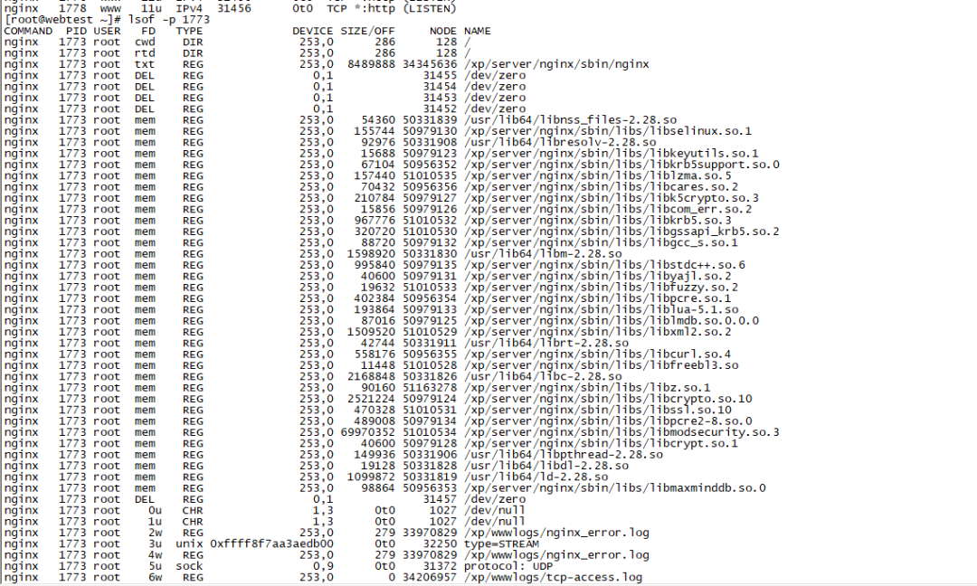 image-20250914221132841