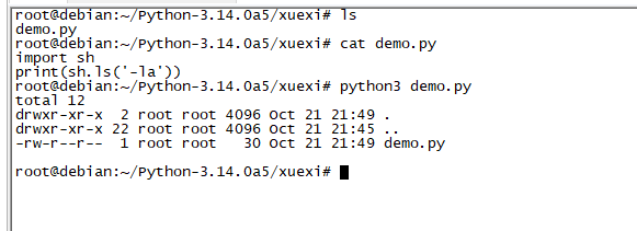 image-20251021214924969