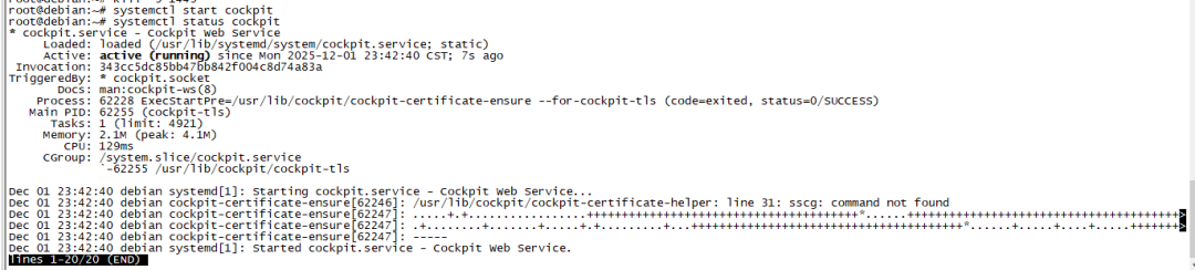 image-20251201234258446