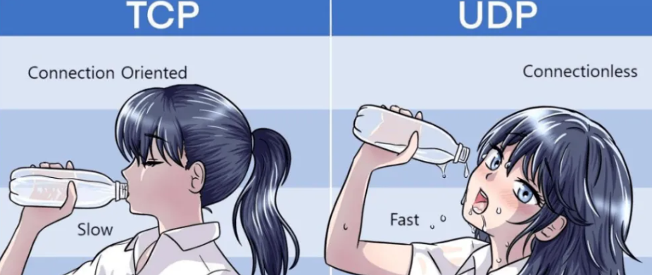 image-20251011212035863