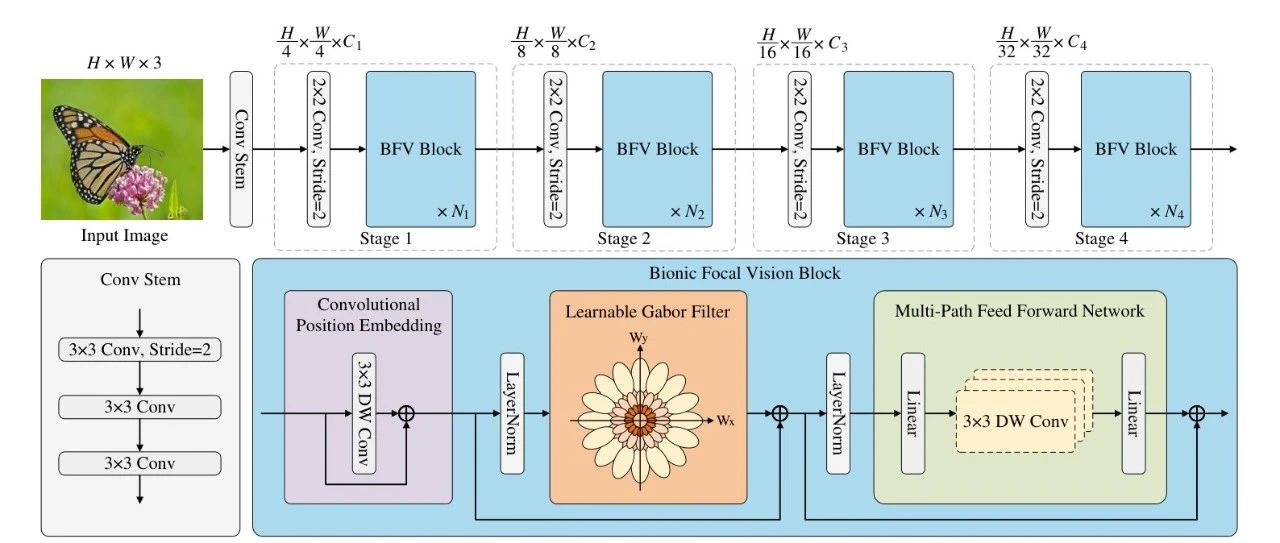 南开提出全新ViT | Focal ViT融会贯通Gabor滤波器，实现ResNet18相同参数，精度超8.6%