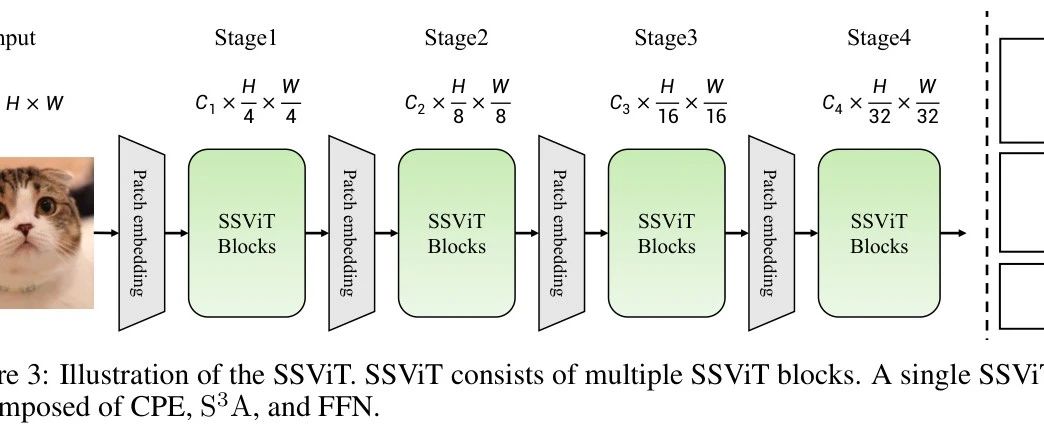 ​中科院提出 SSViT | 稀疏扫描视觉 Transformer，模拟人类视觉图像识别，显著提高性能，准确率 top-1 ！！