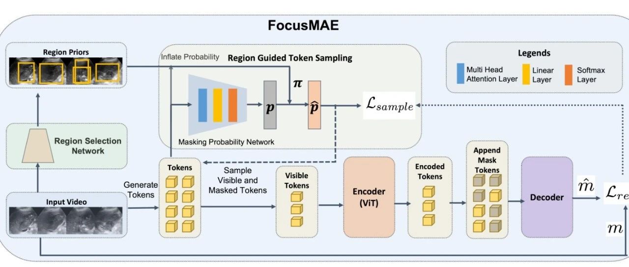 MAE再次升级，FocusMAE开源 | 源于MAE又高于MAE，有更高质量的表征&全新的架构设计