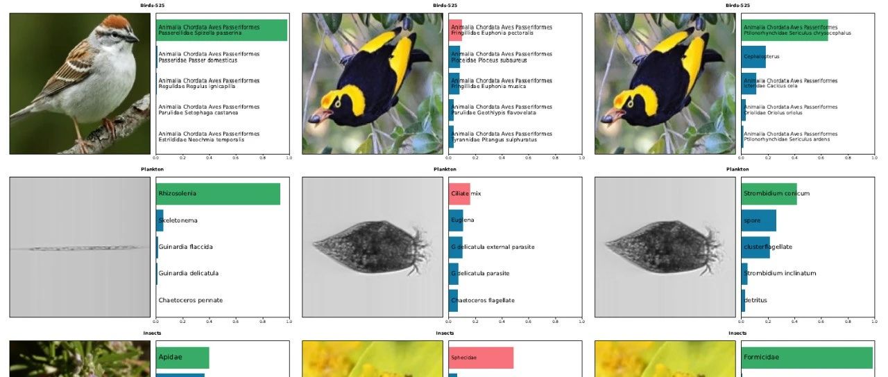 CVPR 2014｜ BioCLIP：生命之树的视觉基础模型