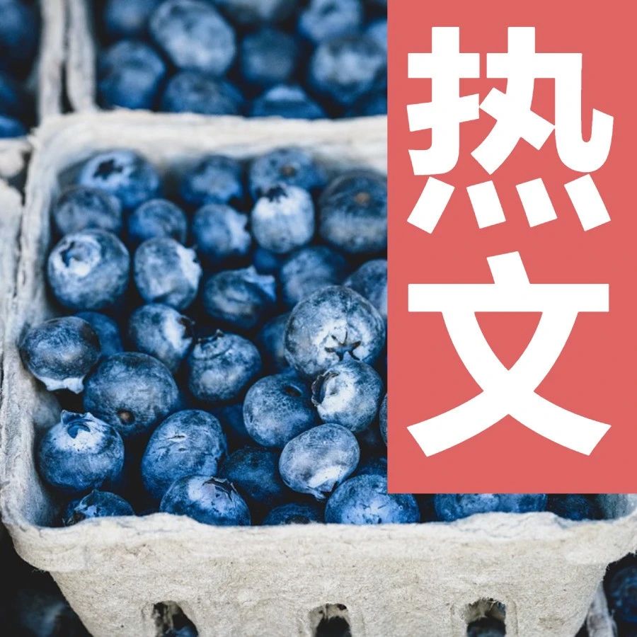 漫画 | 在中国，程序媛到底有多难？
