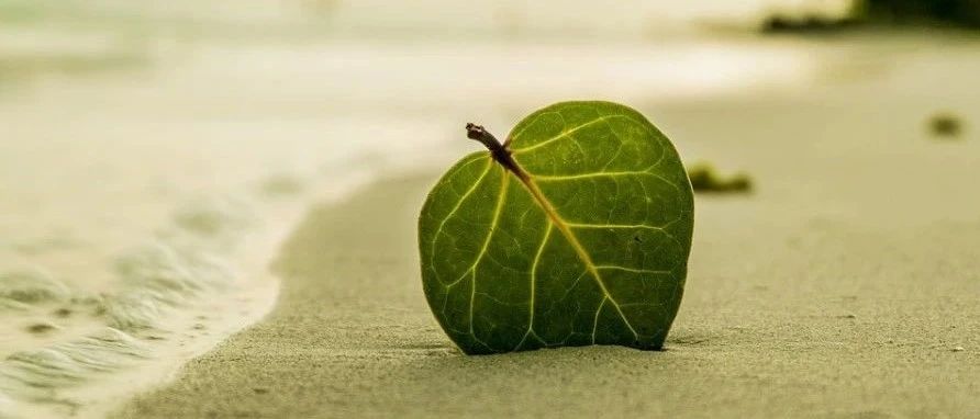 研报复制（七）：A股行业动量的精细结构