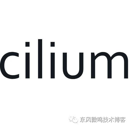 Cilium系列-10-启用 IPv6 BIG TCP和启用巨帧