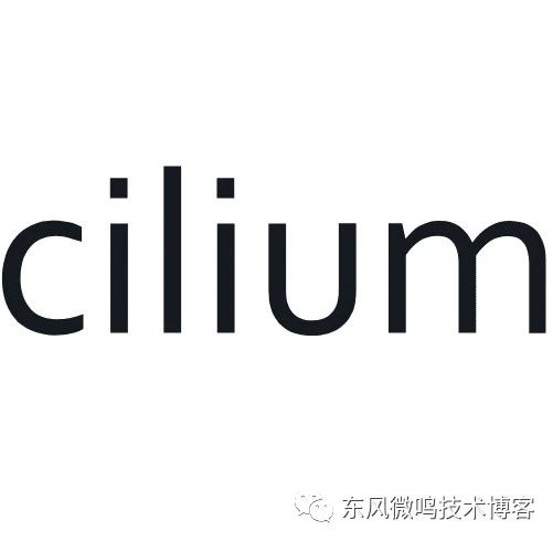 Cilium系列-6-从地址伪装从IPtables切换为eBPF