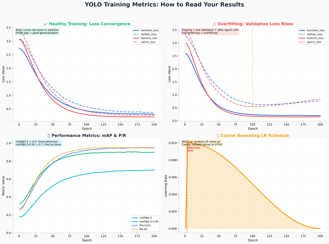 YOLO Training Metrics