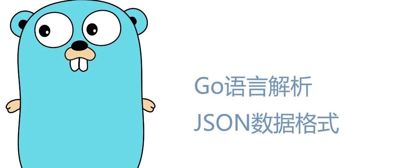 Go语言中JSON处理技巧总结