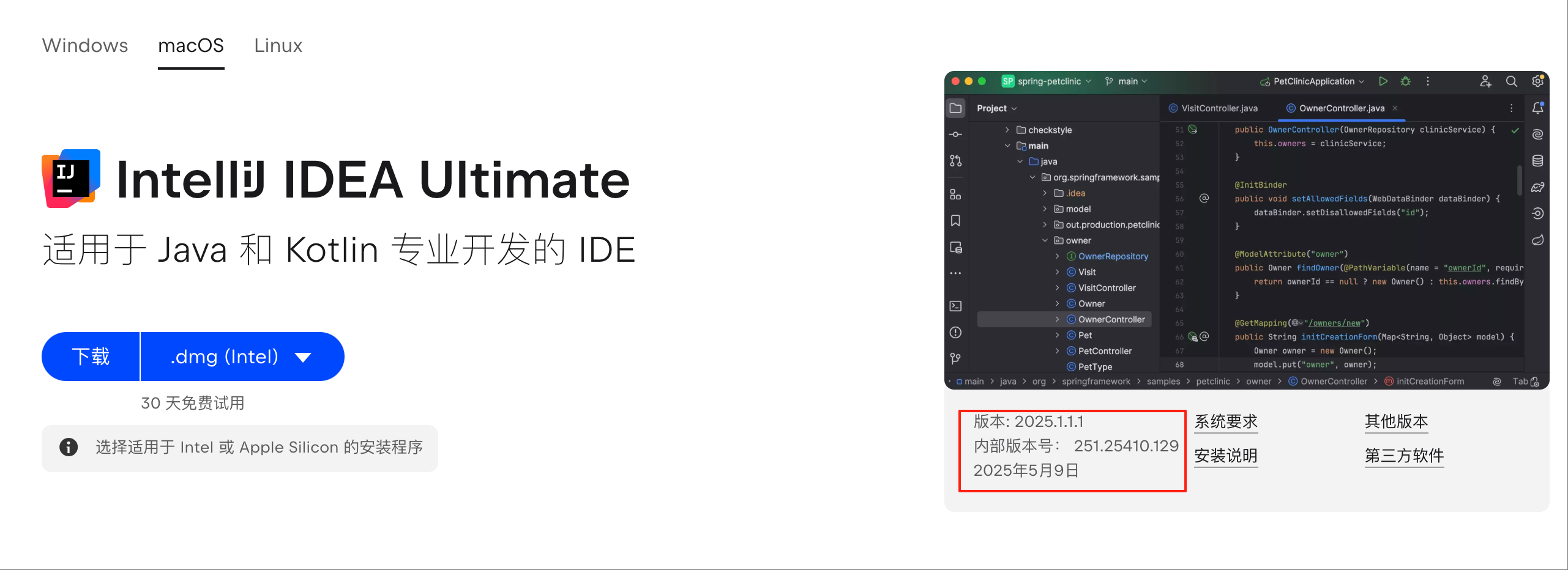 IDEA项目调试你都会用了么，快看看是否有你不知道的调试技巧