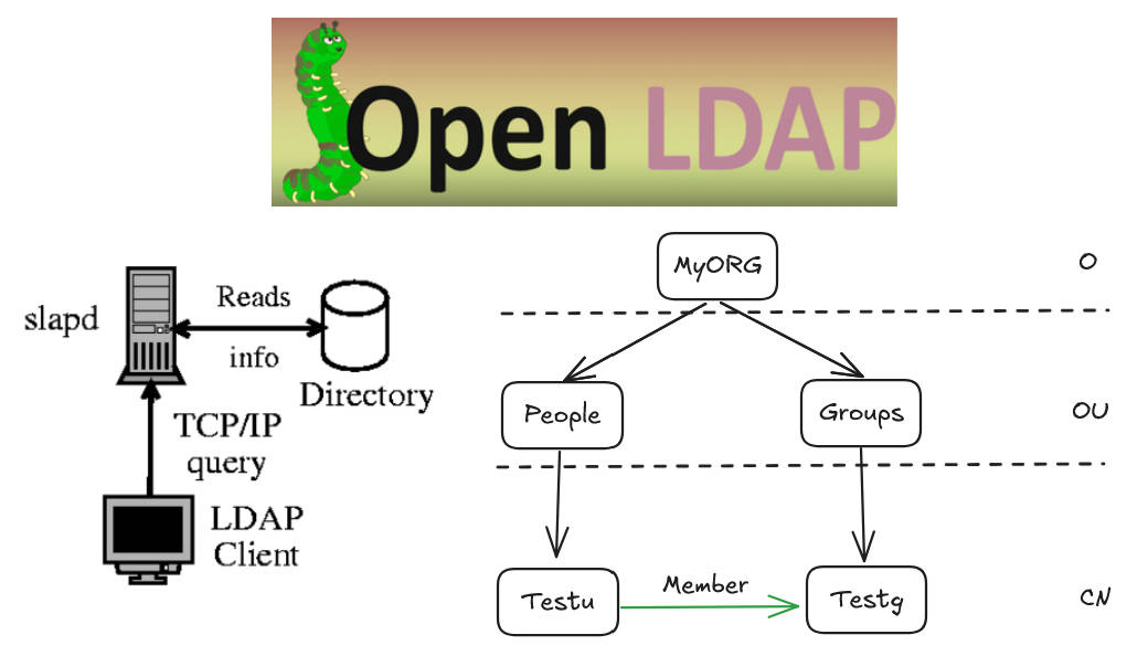 OpenLDAP 命令行操作与配置深度解析