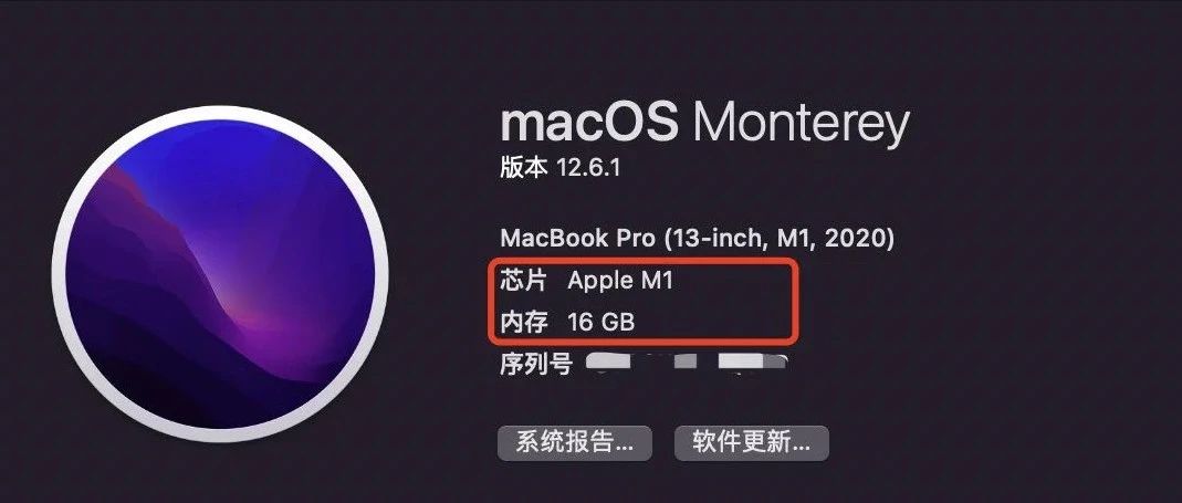 炼丹5至7倍速，使用Mac M1 芯片加速pytorch完全指南