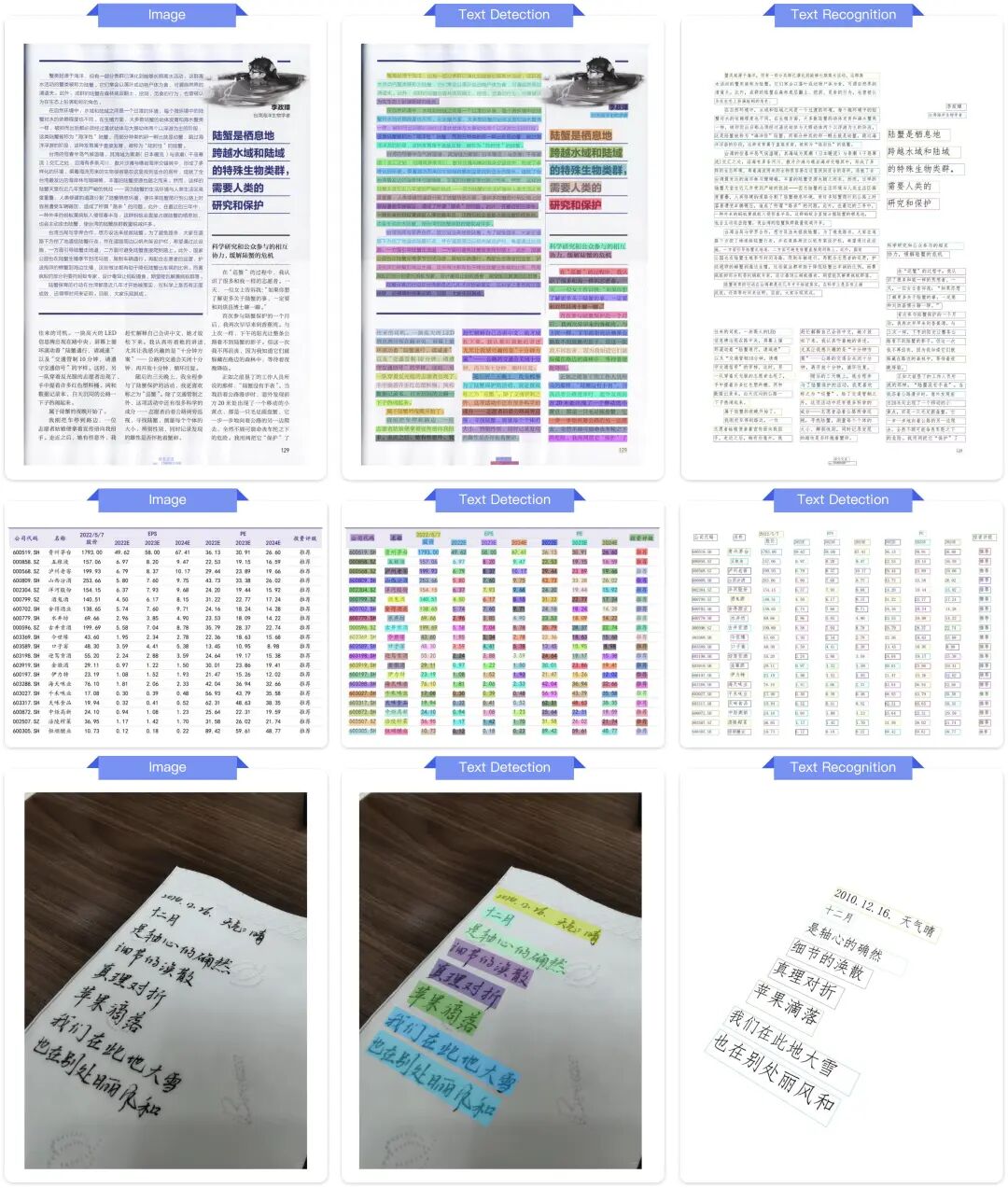 文本定位能力展示