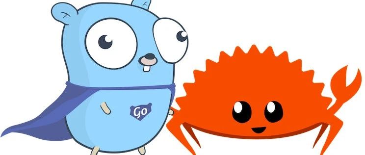 Rust与Go中实现高性能解析JSON