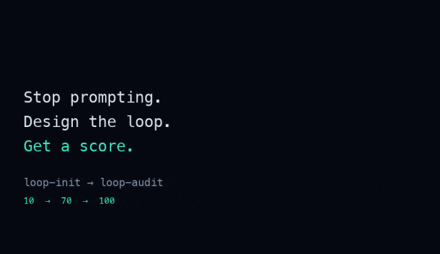 loop-init 与 loop-audit 演示