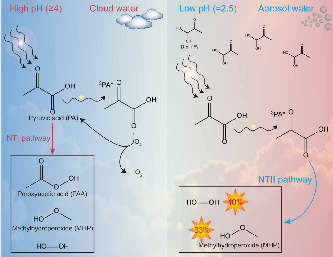 Simplified illustration showing the importance of NTI versus NTII during the production of HPs across various pH conditions.