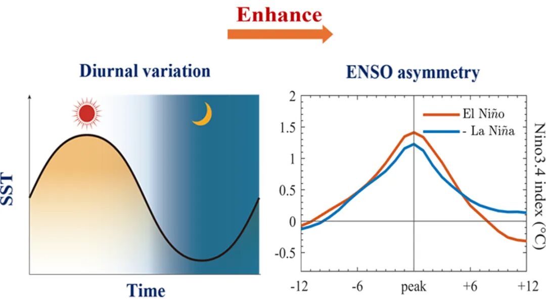 Two charts show the way that ENSO is asymmetrical. On the left, a chart labeled “Diurnal variation” shows how sea surface temperature is higher during the day than at night. On the right, a chart labeled “ENSO asymmetry” shows two lines, with time on the x axis and temperature on the y axis. Both lines peak in the middle, but the red line labeled “El Niño” has a higher peak than the blue line labeled “La Niña.”