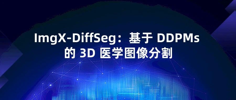 ImgX-DiffSeg：基于 DDPMs 的 3D 医学图像分割