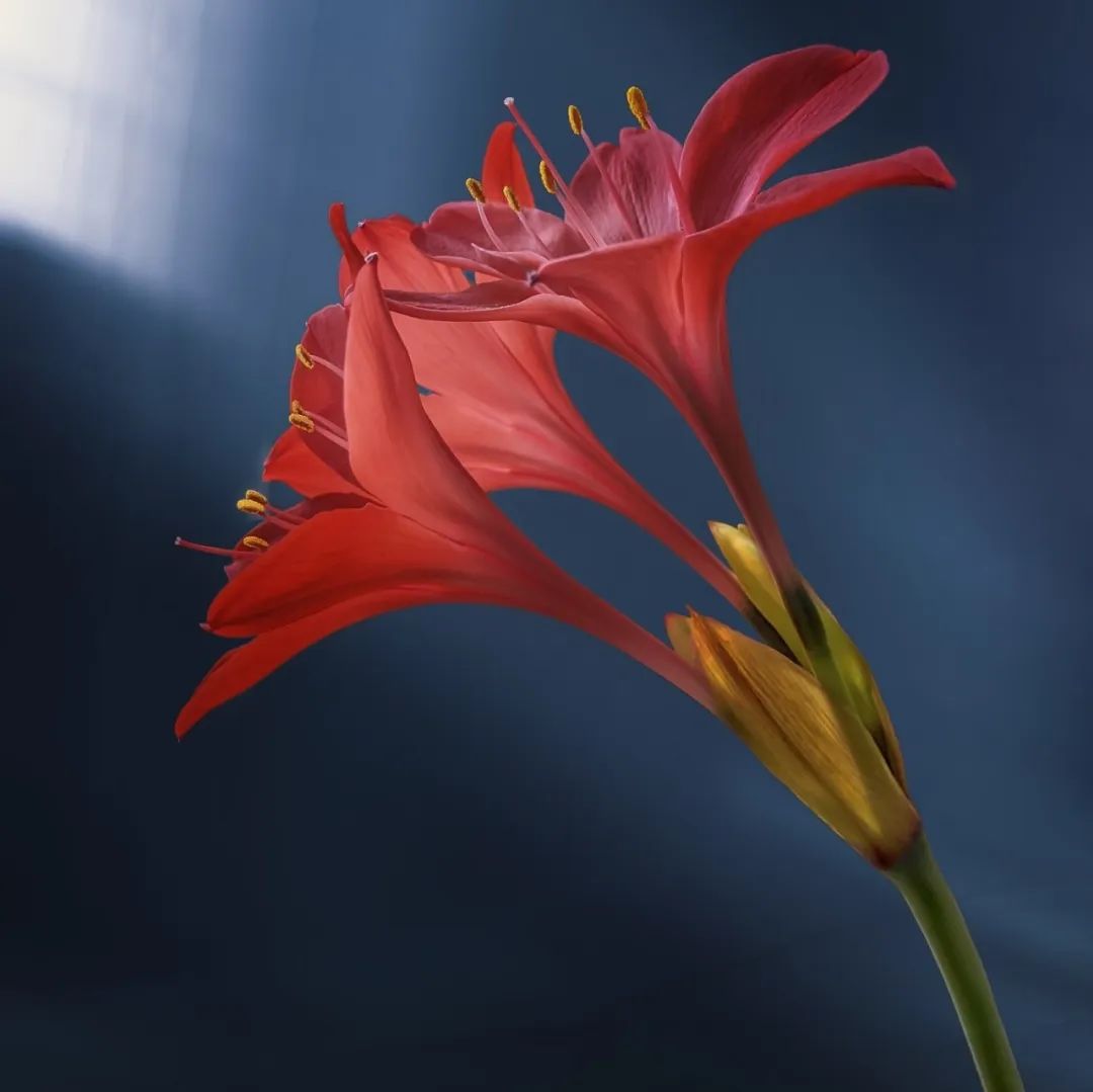 2800 亿《芯片法案》，对中国芯片产业影响几何？