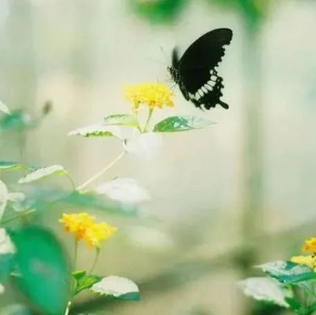 三问智能制造人才管理：缺什么、为什么缺、怎么办