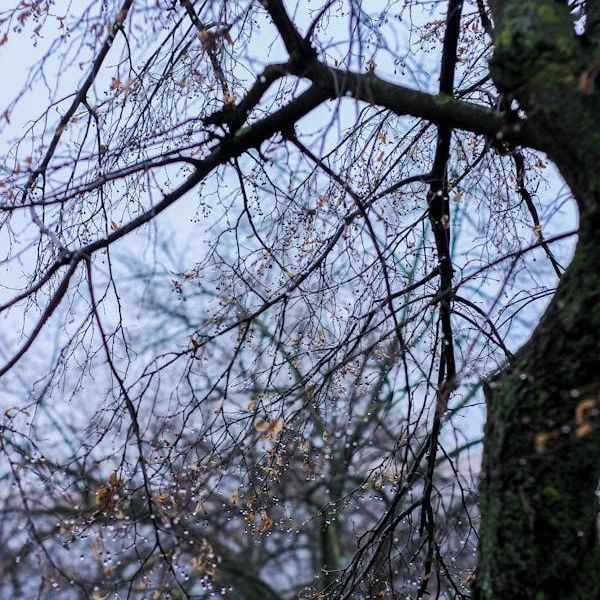 Sora 生成的视频太真实？那是你遇到造假了