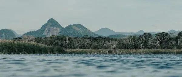 52家企业，48家要降本：FinOps 能否拯救“下云潮”