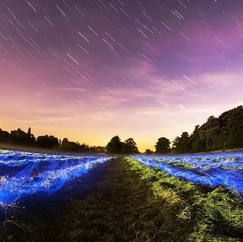 构建下一代万亿级云原生消息架构：Apache Pulsar 在 vivo 的探索与实践