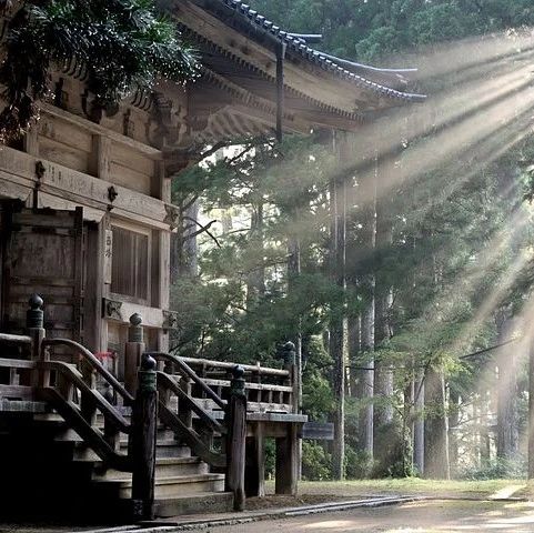 皮衣老黄套路多！被抢破头的 GPU，其实没有任何惊喜