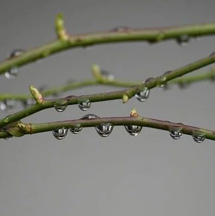 当你的技术栈不能满足每个人需求时，下一步是什么呢？