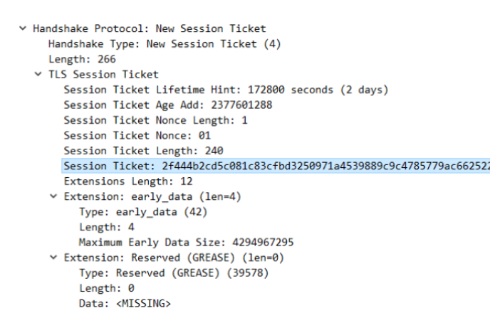 New Session Ticket 报文