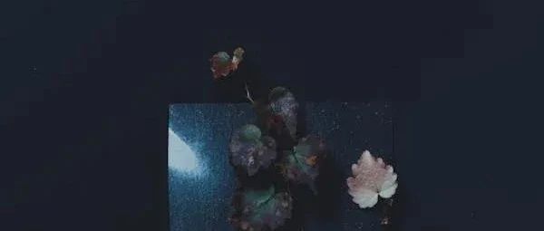 没有完美架构，AI 时代架构师如何找到成本与性能的平衡点？