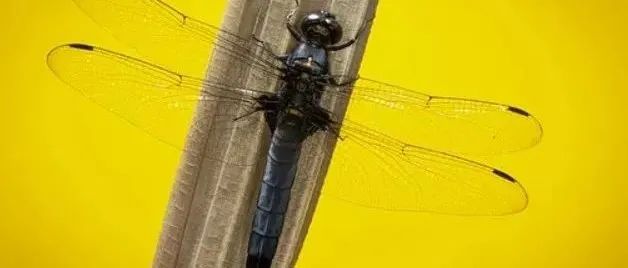 B站宕机事故复盘：2021.07.13 我们是这样崩的