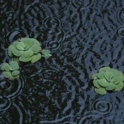 Quora 的陨落：AI 时代知识社区的困境