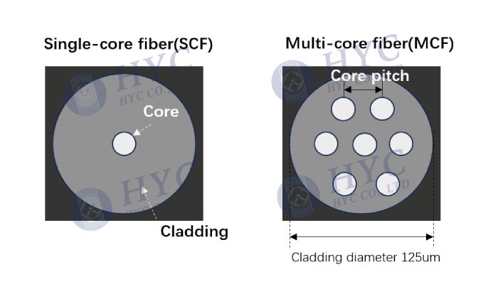 tutor image 1