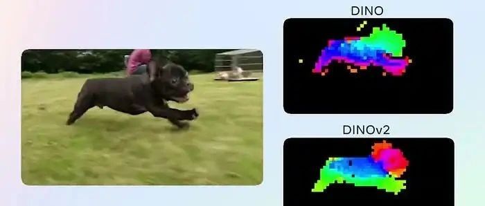 从零开始构建DINO模型与PyTorch：自监督视觉transformer