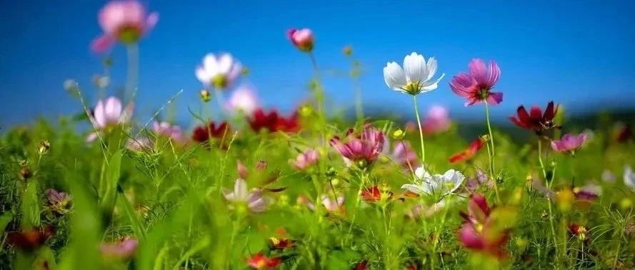 SAP 采购订单知识介绍