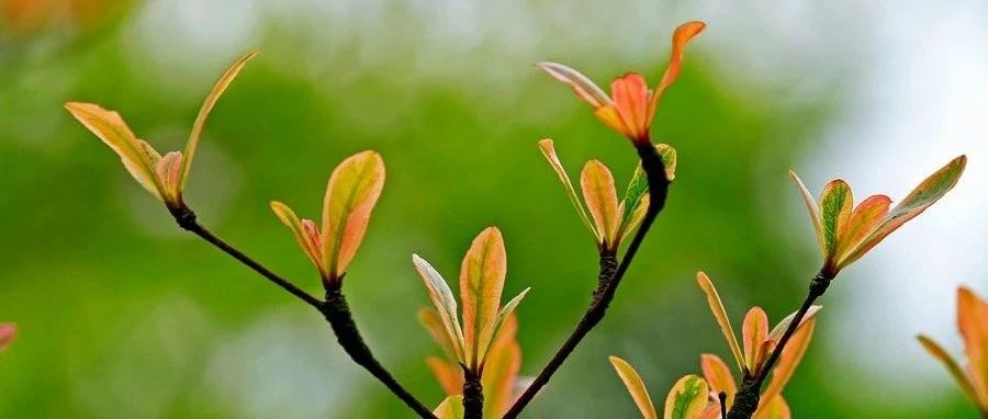 SAP 物资库存移库介绍
