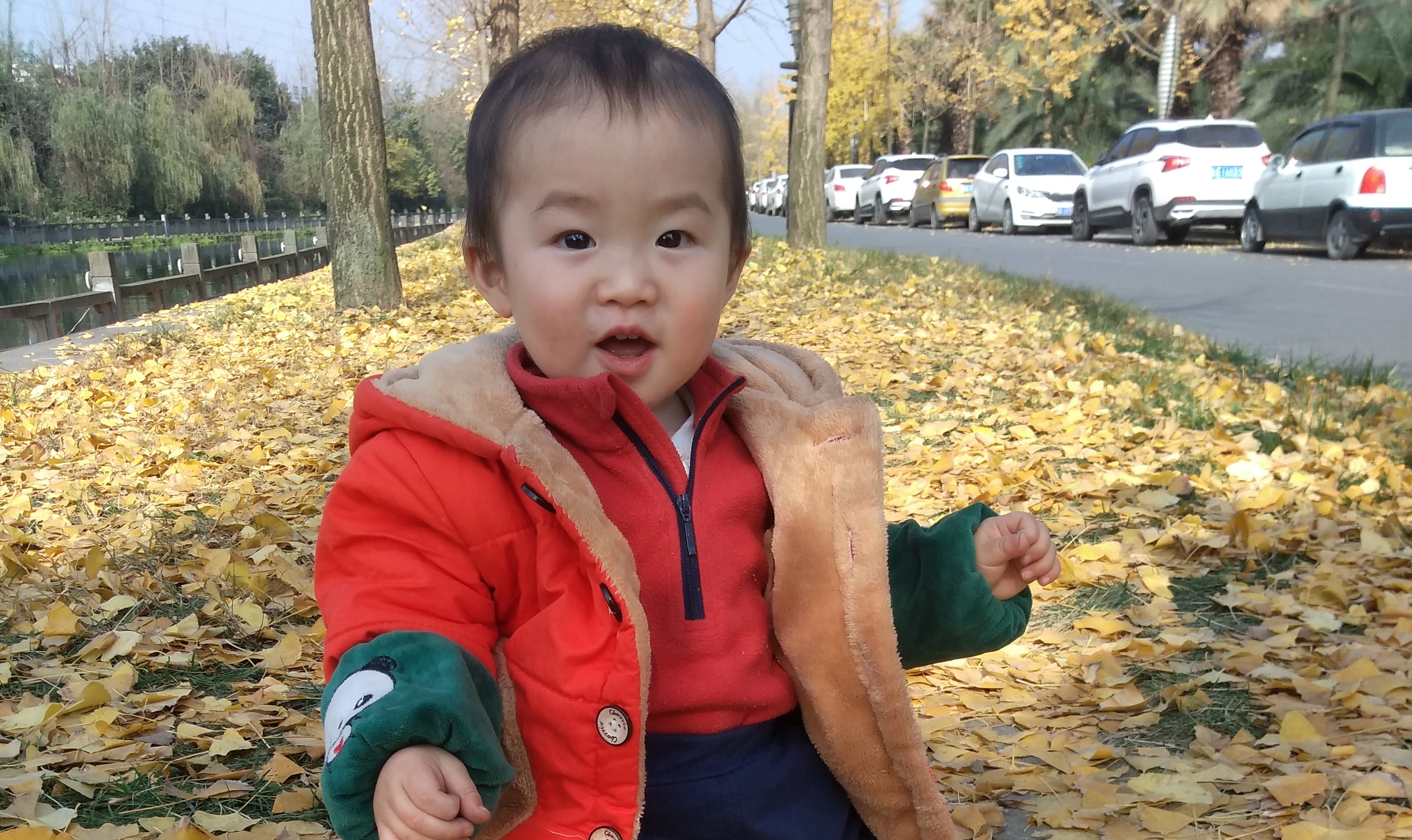 当技术回归本体论的时候-》程序员应该怎么回归