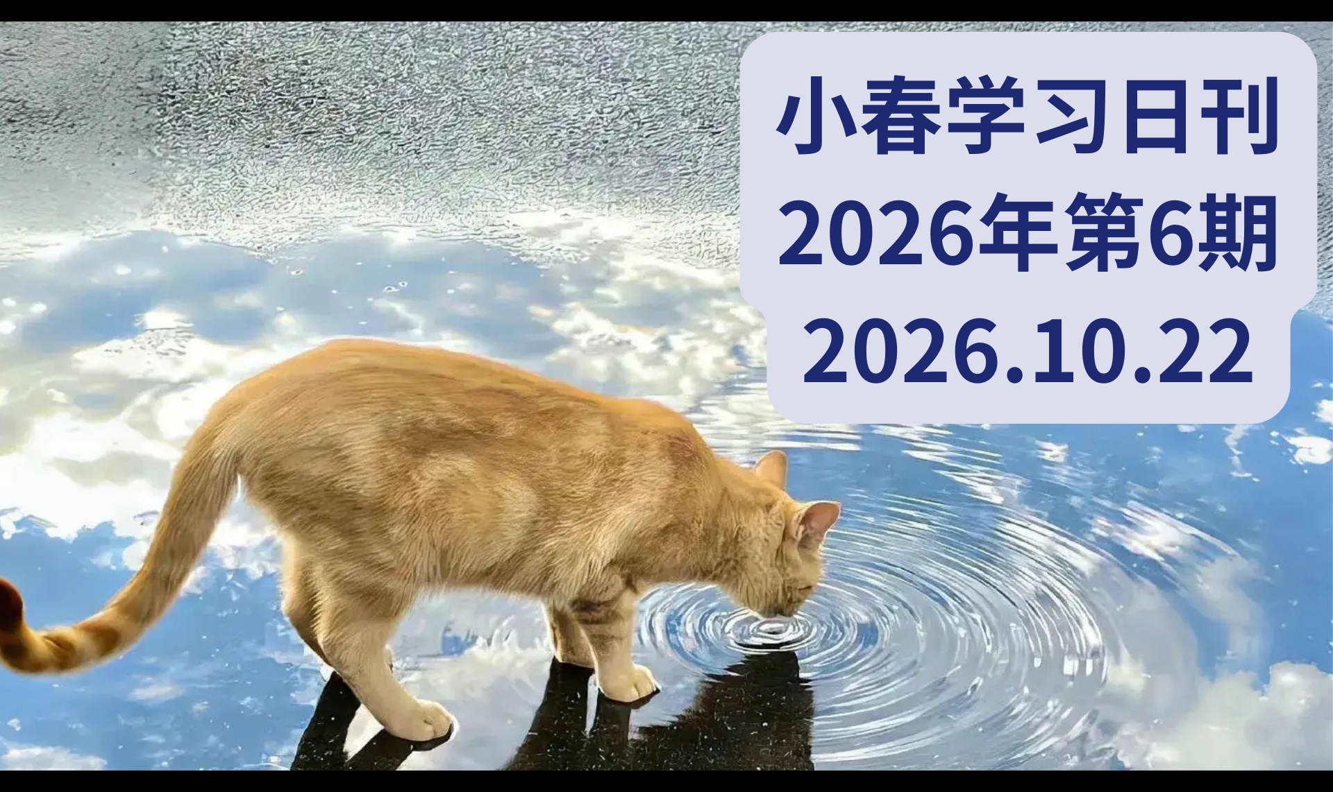 优秀的个人博客,低调大师