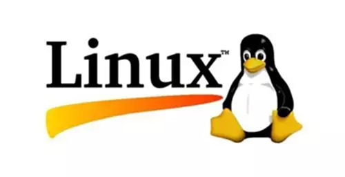 Linux服务器查看CPU性能指标及进程 Linux系统怎么查看cpu负载？